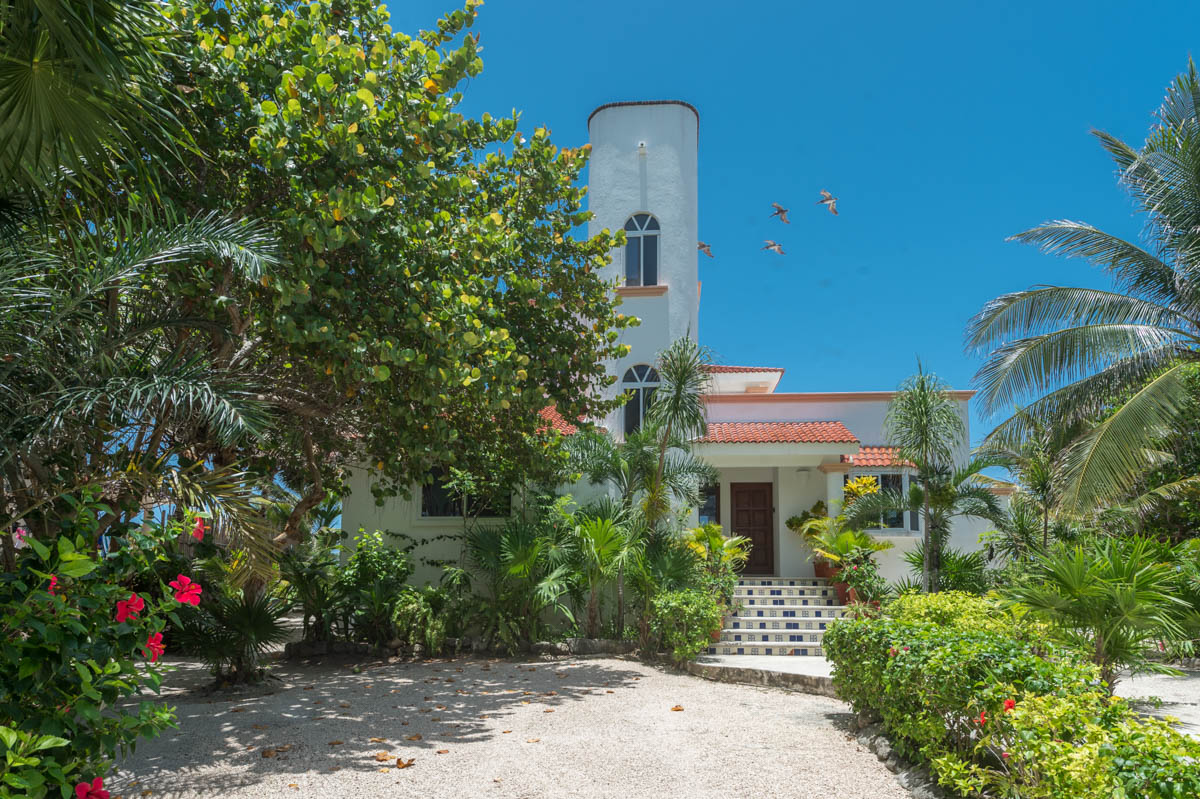Casa Cavu Front Elevation and Tropical Flora Setup